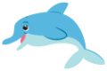 dolphin