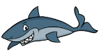 shark