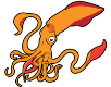 squid