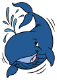 whale