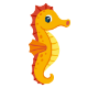 seahorse