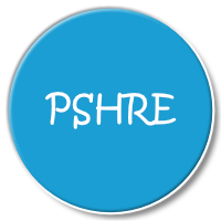 PHSRE South Walney infant and nursery school curriculum intent