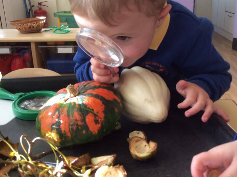 careful obseravtion Nursery south walney infant and nursery school