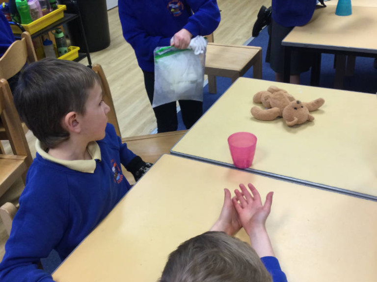 Science - changes year 2 south walney infant and nursery school