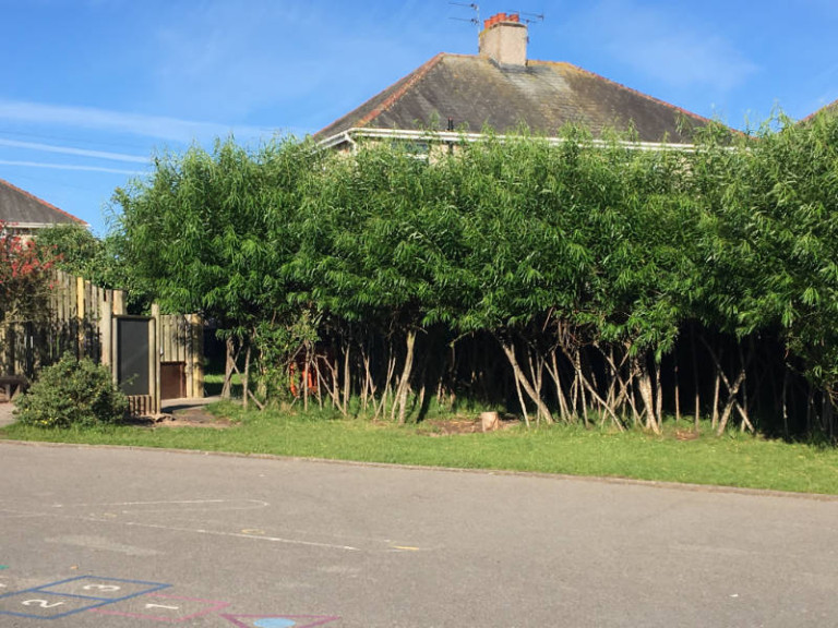 10 south walney infant and nursery school furness barrow ofsted good school